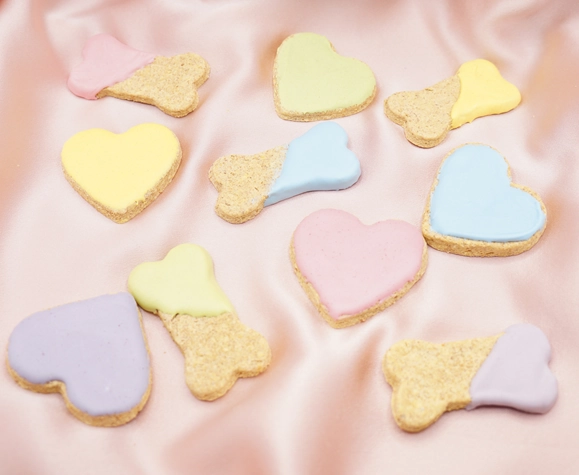 Chien heureux avec des biscuits Truffe Gourmande