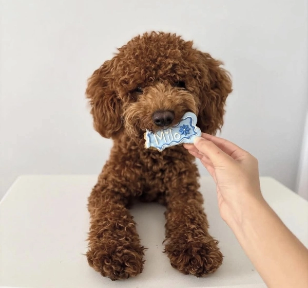 Biscuit personnalis&eacute; pour chien et cheval vue 3
