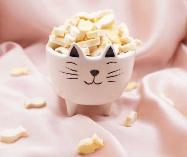 Biscuits d&rsquo;entra&icirc;nement pour chien