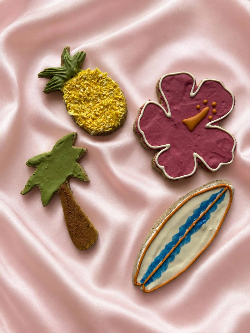 Collection d&rsquo;&eacute;t&eacute; &ndash; g&acirc;teries artisanales pour chien et cheval