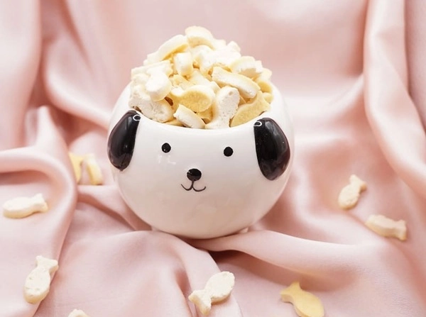 Miniature chien avec g&acirc;teries Poissous