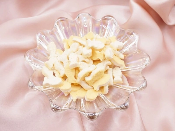 Chien senior heureux avec un biscuit Truffe Gourmande