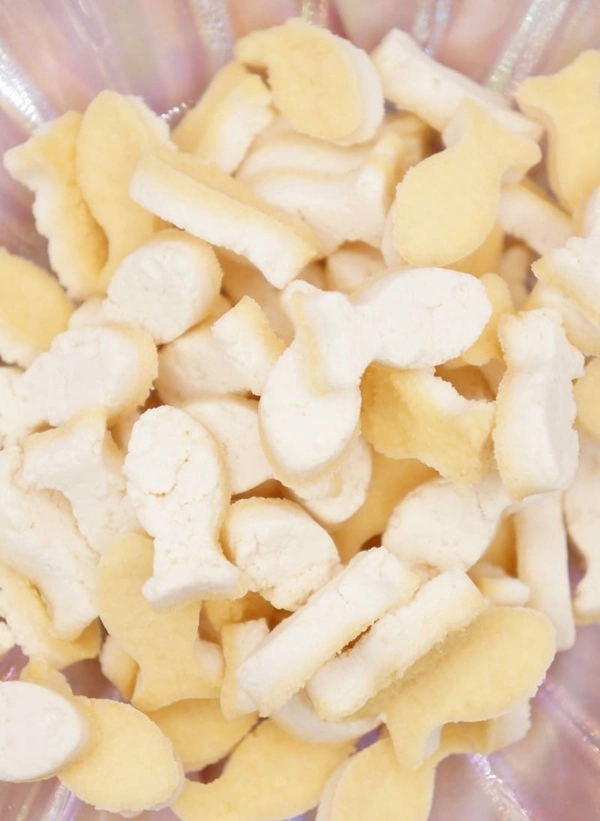 Miniature chien avec g&acirc;teries Poissous