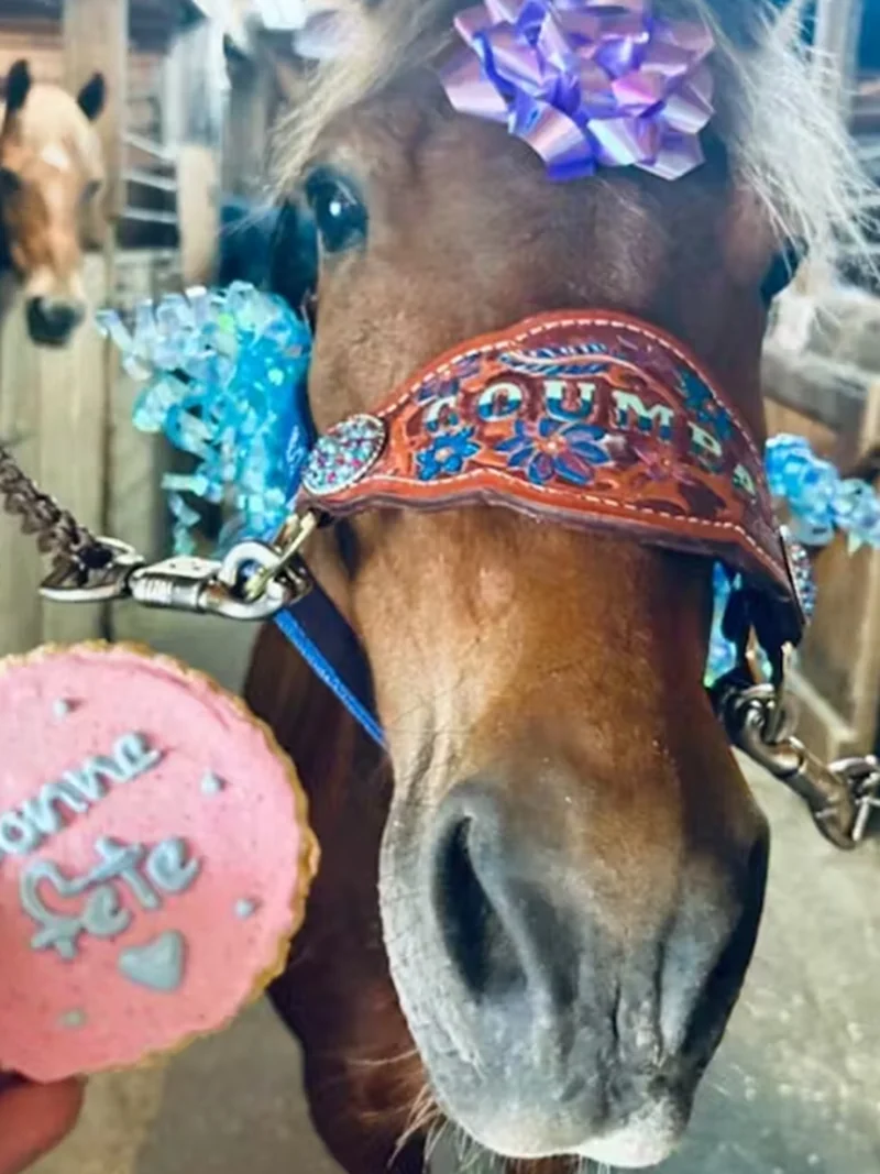 Poney heureux avec un biscuit Bonne F&ecirc;te Truffe Gourmande